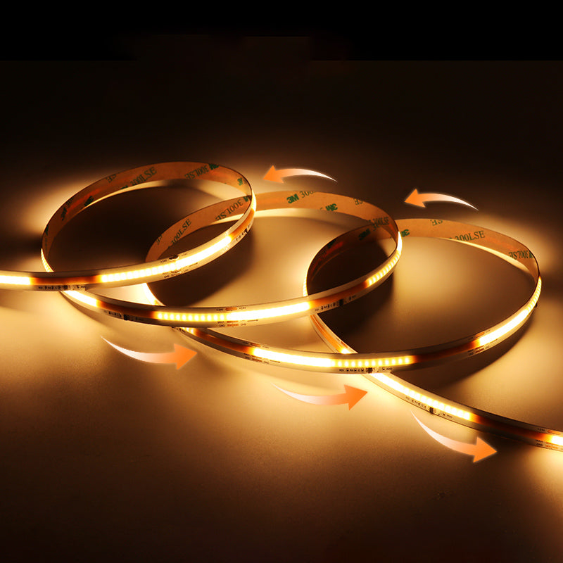 10mm COB LED Strip Lights DC 24V Running Water Chasing