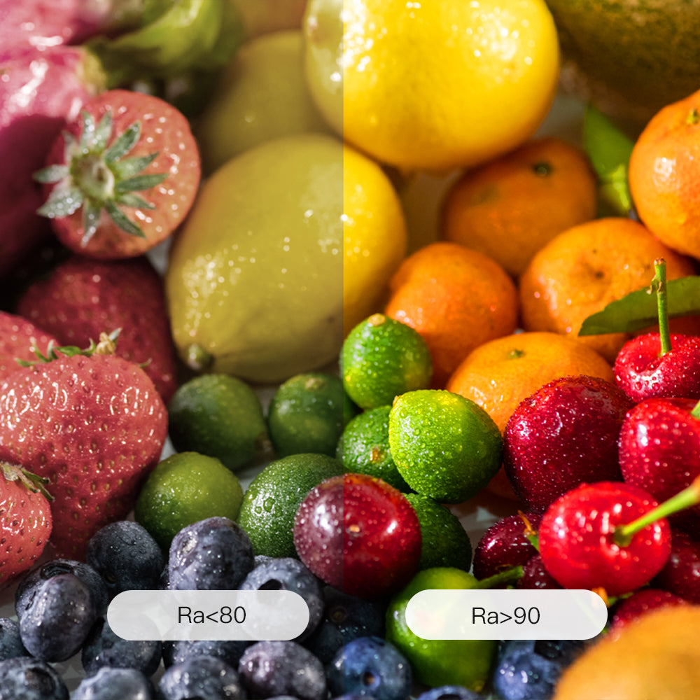 10mm Width COB LED Strip Light 480LED/m DC 12V 24V Dimmable